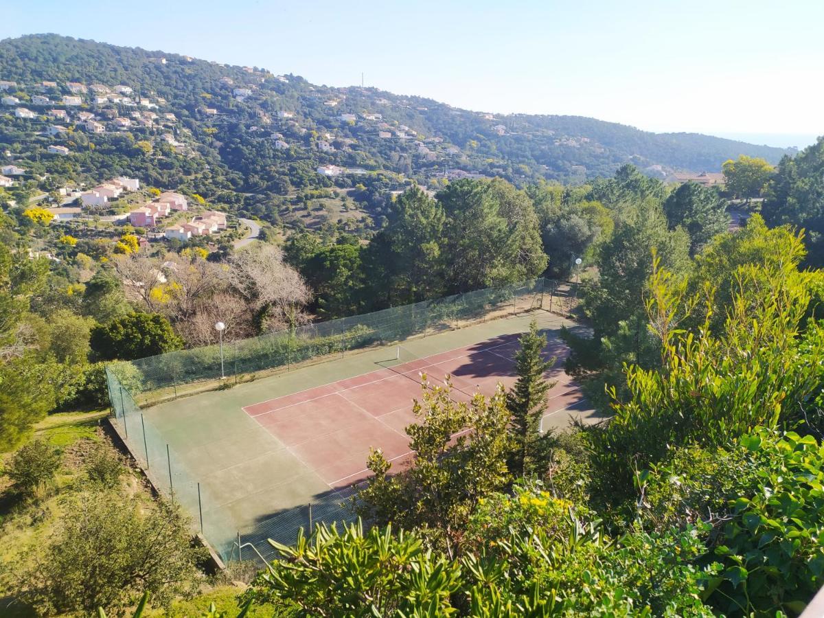 Vacance Location Mer Piscine Var Sud Terrasse 雷以桑布尔 外观 照片